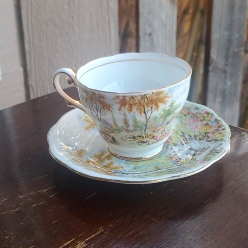 Old Mill Stream tea cup /saucer by Royal Standard - made in England - vtg 60s